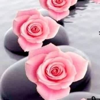 arshdeeps_16's profile picture. RCB ❤️