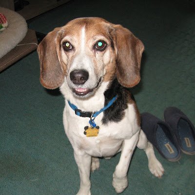 pascuc4243's profile picture. 