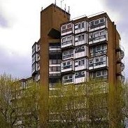 Lambeth Squawk (@lambethtowers) 's Twitter Profile Photo