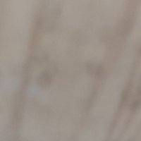 Therich Formoney (@therichf) 's Twitter Profile