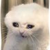 Nobody 48494 (@nobody48393) Twitter profile photo