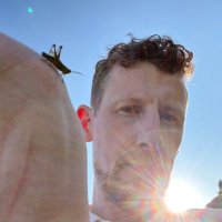 Iain Drennan (@drennaniain) 's Twitter Profile
