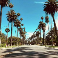 Greg (@kbadla23) 's Twitter Profile