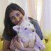 Nikki Pandey (@nikkipande73809) Twitter profile photo Nikki Pandey (@nikkipande73809) Twitter profile photo