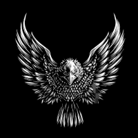 Auto Molla (@auto62340) 's Twitter Profile