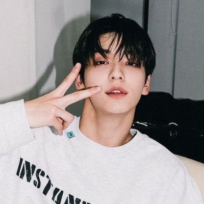 22 | she/her | multistan | #TXT #STRAYKIDS #ATEEZ keeping f4f on my acc