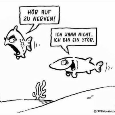 unrasiert und hier privat. Norddeutscher.
Großmeister des Individualverkehrs