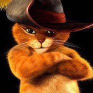 el gato con botas 🇩🇪 (@gat0c0n80tas) 's Twitter Profile Photo el gato con botas 🇩🇪 (@gat0c0n80tas) 's Twitter Profile Photo
