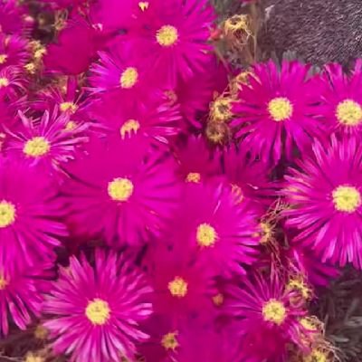 Shamsisdn6948's profile picture. 💙 https://t.co/xyP8hBf7bI Army