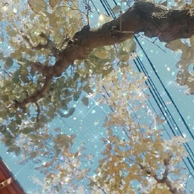 _anny_pe's profile picture. Once I make us believe it's true
♐