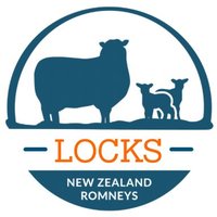 Locks Farm Romneys(@LocksFarm) 's Twitter Profile Photo