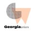 Georgia Writers (@gawriters) Twitter profile photo Georgia Writers (@gawriters) Twitter profile photo
