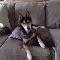 Dane (@gr8danex) 's Twitter Profile