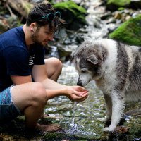 Matthew Trivett 🐺(@Sadokist) 's Twitter Profile Photo