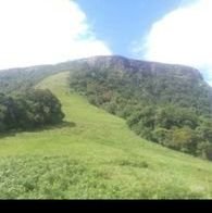 lindelam's profile picture. 