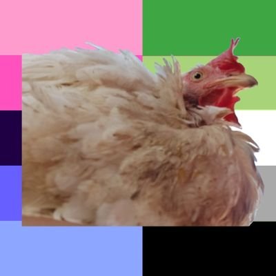 Just here watching you guys • 19 • INTJ • She/Her • Span/Eng