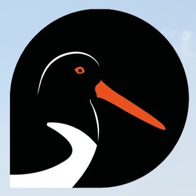ScillyWildlife Profile Picture