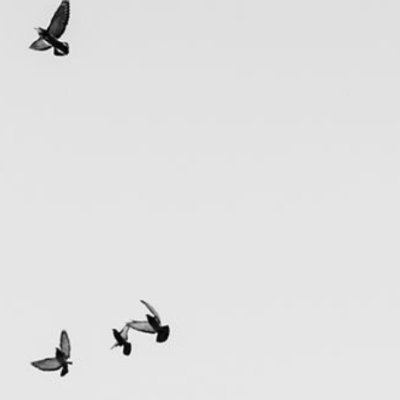 moon7162339's profile picture. Peace 🤍