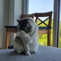 Shiva (@_shivaaa___) 's Twitter Profile