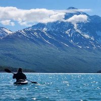 Trickyhickey (@trickyhickey3) 's Twitter Profile