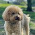 Clare (@doodlesoph53334) Twitter profile photo Clare (@doodlesoph53334) Twitter profile photo