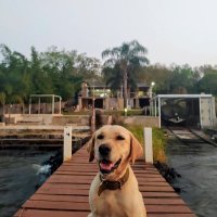 Joaquin Javier (@joacojortiz) 's Twitter Profile