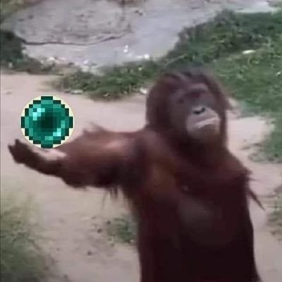 replaytakefour's profile picture. 