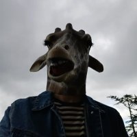 Lleu 🏴󠁧󠁢󠁷󠁬󠁳󠁿 (@llawlleu) 's Twitter Profile