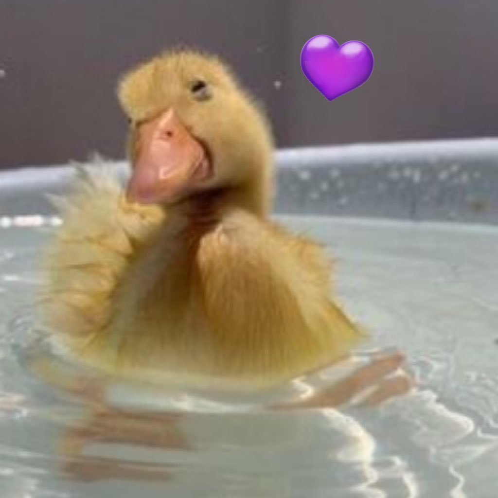 dimic_sofi25912's profile picture. 