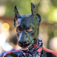 Pup Dane 🔜 IML🪢😵💫 (@pup_dane) 's Twitter Profile
