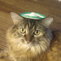 JRM (@pjfoster1313) 's Twitter Profile Photo JRM (@pjfoster1313) 's Twitter Profile Photo