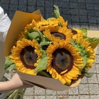 🌸☀️🌻(@notuserfoundrd) 's Twitter Profile Photo