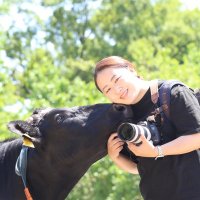 牛写真家 高田千鶴 6/13著書「牛がおしえてくれたこと」出版 (@ushi_camera) 's Twitter Profile