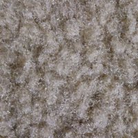 A1200 (@aaronar32738474) 's Twitter Profile