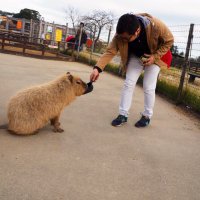 のむにぃ (@nomuny0328) 's Twitter Profile