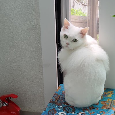 totalreflect's profile picture. 