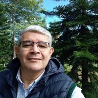 🏧Andres Talavera Moraes (@andrest64314740) 's Twitter Profile