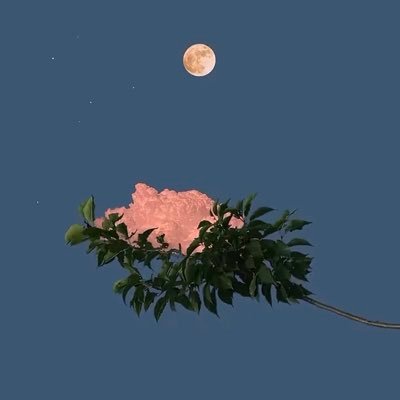 الحمد لله عدد خلقه ورضا نفسه وزنة عرشه ومداد كلماته ❤️