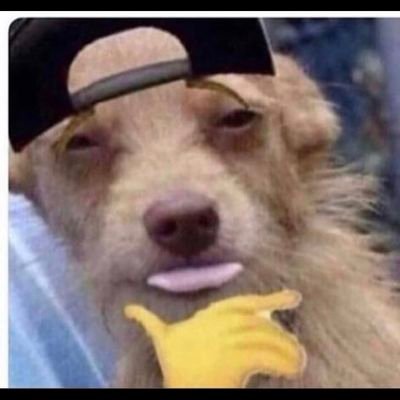 DC379227066's profile picture. 