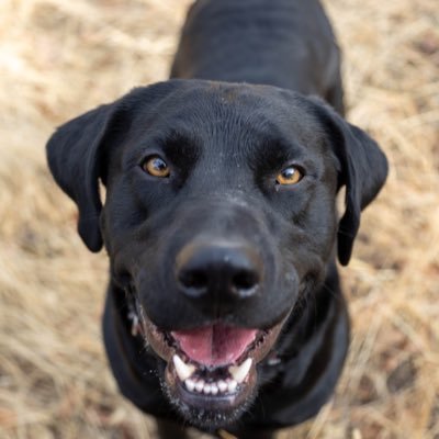 Adamdeem's profile picture. 