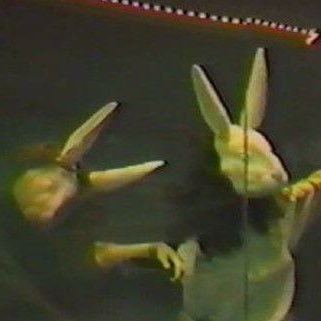 dunkie_cookie's profile picture. 