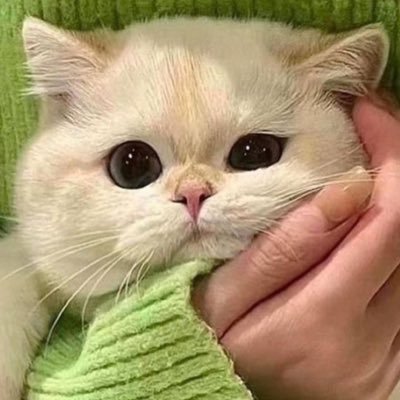 み　くさんのプロフィール画像