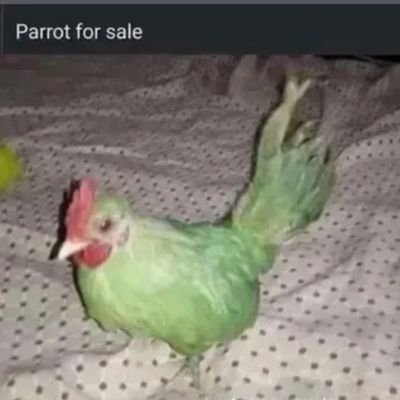 Mystykid23's profile picture. 