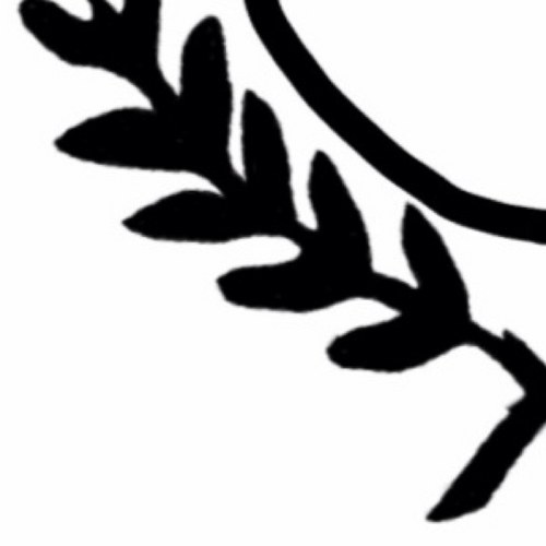 wearstayyoung's profile picture. 