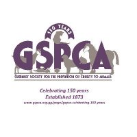 gspca(@GSPCA) 's Twitter Profile Photo