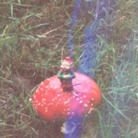 Barbara Higham (@barbarahigham2) 's Twitter Profile Photo Barbara Higham (@barbarahigham2) 's Twitter Profile Photo