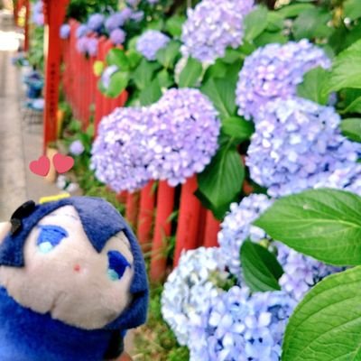 刀らぶ垢。三🌙日月好き始めました!
みゅ沼まりちか好き。成人超。
家族は双子こもち、ぱす、ちかちゃん、末っ子の大きいちかちゅんの六振り。ちゅん部覗き見好き。
沼変遷:もちちか→活劇→刀みゅ→廻→刀ステ
参加:「すえひろ」〜「目出度」確定
本丸本拠地:肥後国