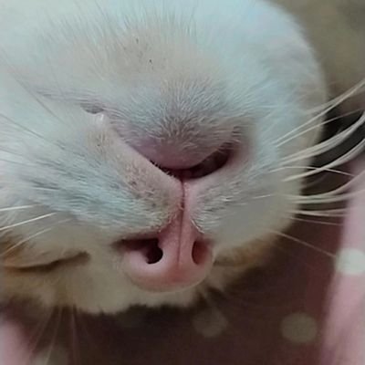 mn_mina03's profile picture. #ซีรีย์วาย #ทุกด้อม #YWPB #GMM 
🏳️‍🌈🇹🇭👨‍❤️‍👨💐