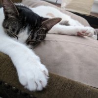 Nina (@nina38052092461) 's Twitter Profile