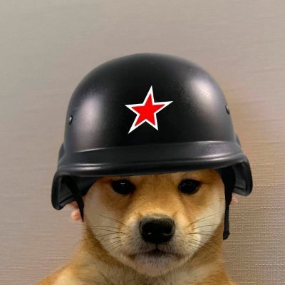 radu_u's profile picture. Hey! I am Radu!